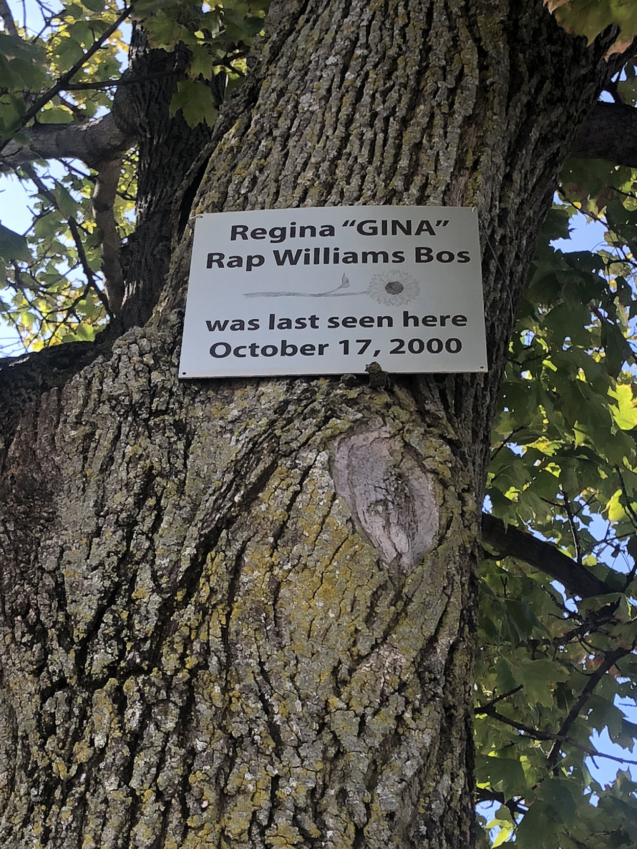 Gina Bos plaque